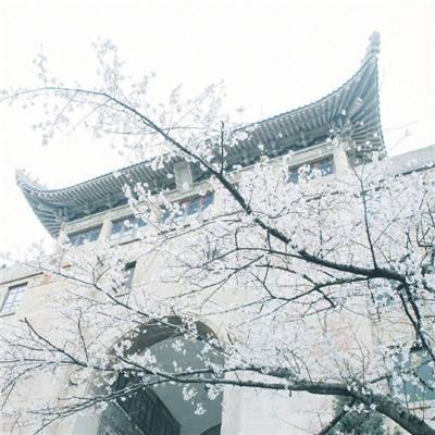 国家外汇管理局公布2025年末中国银行业对外金融资产负债数据